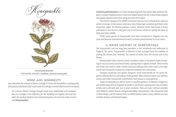 Jane Austen's Garden : A Botanical Tour of the Classic Novels - Image 2