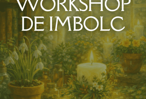 Workshop-imbolc-2026